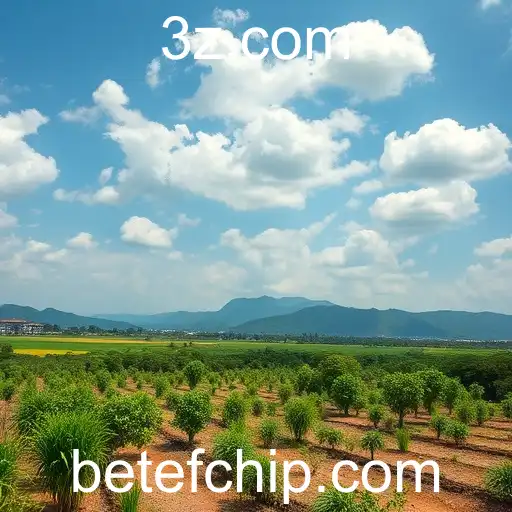 Innovations Transformam Novas Realidades no Brasil